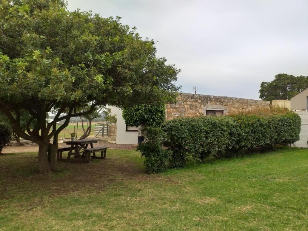 Die Buitekamer Bredasdorp Exterior photo